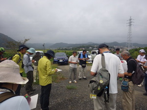 観察会で観られた鳥の種確認