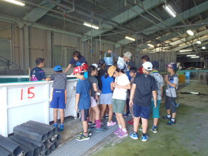 種苗施設の見学2