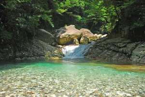 垢離取場(こりとりば)