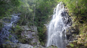 大杉谷の滝(シシ淵付近)