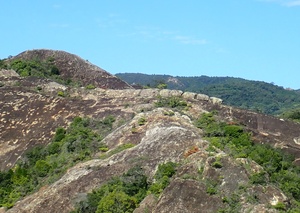 3_恐竜の背骨（2020年10月20日撮影）