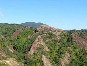 4_象の背（2020年10月20日撮影）