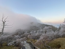 正木峠から見た霧氷