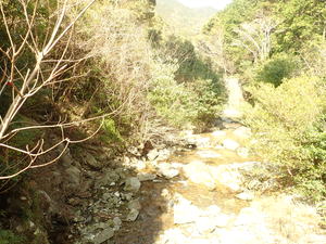 2.すさみ町和深川(春)