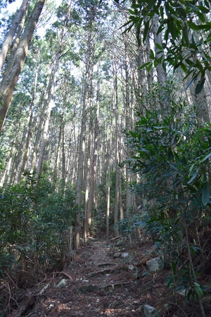 3.すさみ町長井坂