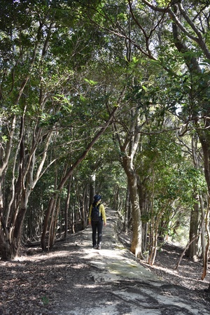 8.すさみ町の古道を歩く