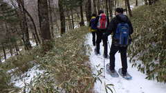 スノーシューの利用