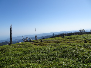 2021年10月の正木峠の様子